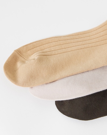 Polo Ralph 3 Pack Egyptian Rib Crew Sock - Brown