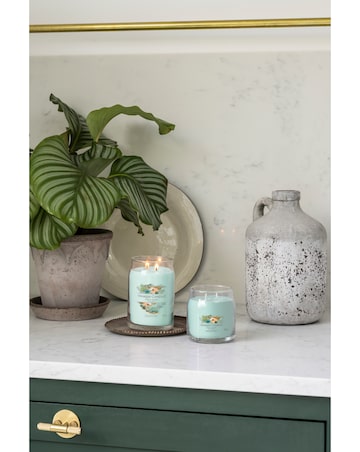 Yankee Candle Signature Large Jar Aloe & Agave