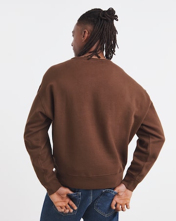 Polo Ralph Lauren Graphic Crew Neck Sweatshirt - Brown