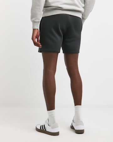 Gym King Established Shorts