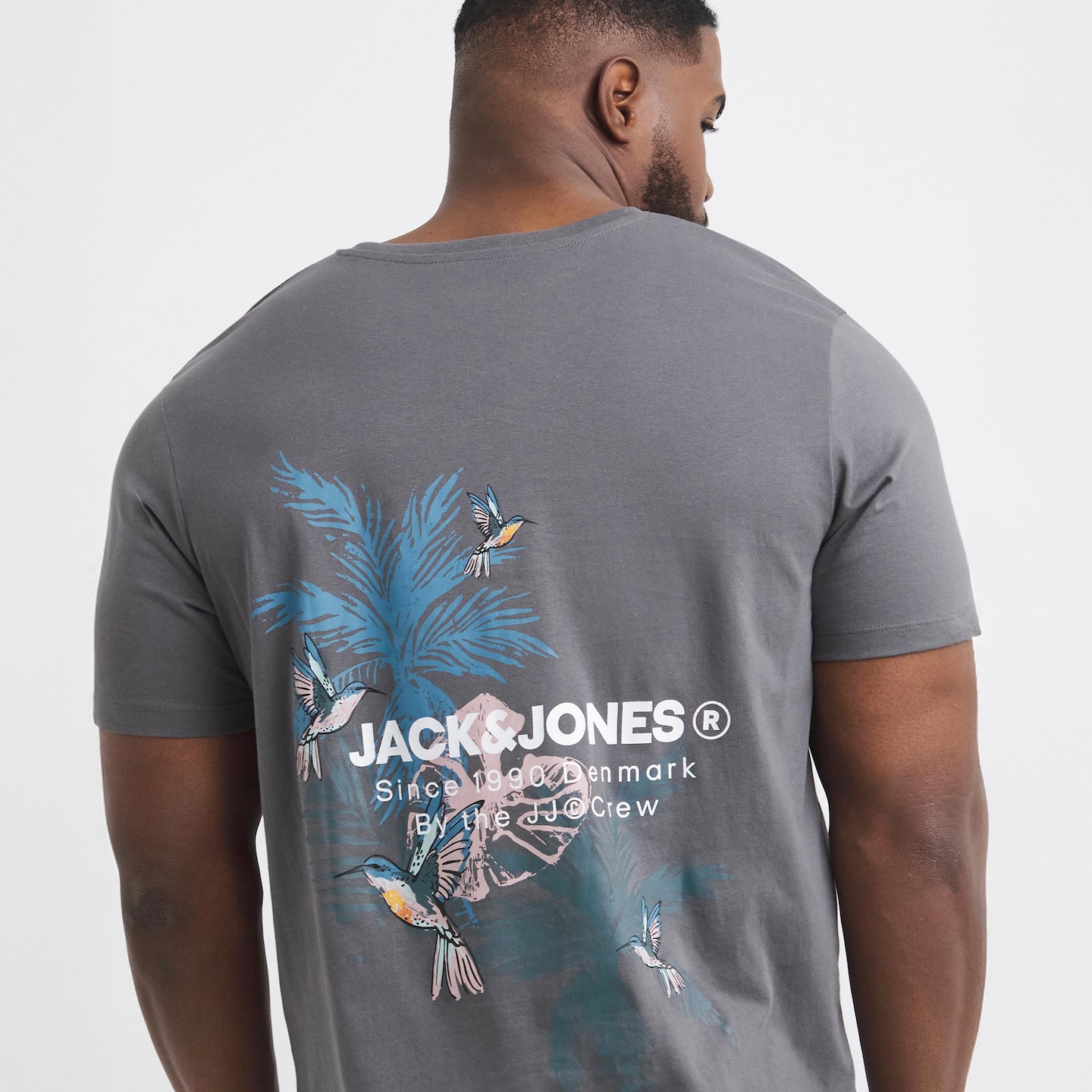 Jack & Jones Hawaii Back Graphic T-Shirt 2 Pack - Multi