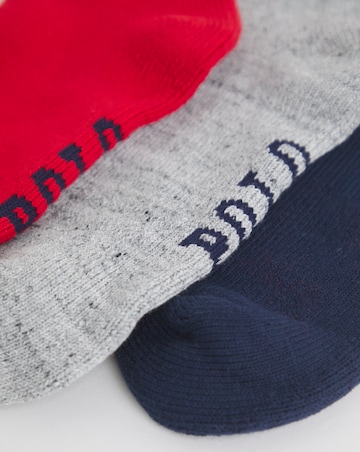 Polo Ralph Lauren 3 Pack Gift Box Bear Socks
