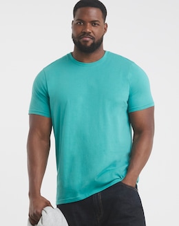 Pure Cotton Crew Neck T-shirt Long