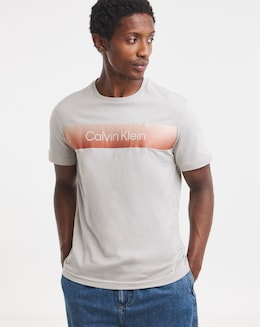 Calvin Klein Linear Ombre Chest Logo T-Shirt - Beige