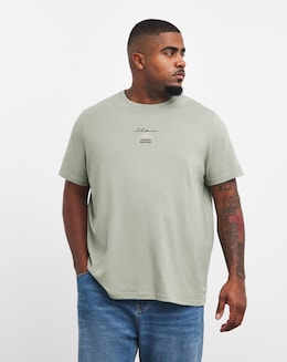 California Print Graphic Embroidered T-shirt