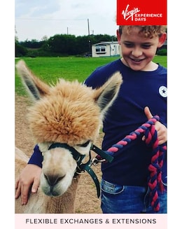 Alpaca Walk and Meet the Animals For Two at Lucky Tails Alpaca Farm E - Voucher
