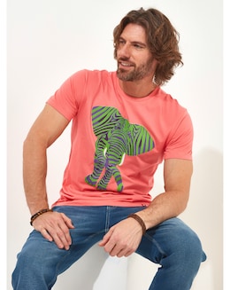 Joe Browns Superb Stripe Elephant Tee Long Length