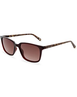 Ted Baker Farley Sunglasses