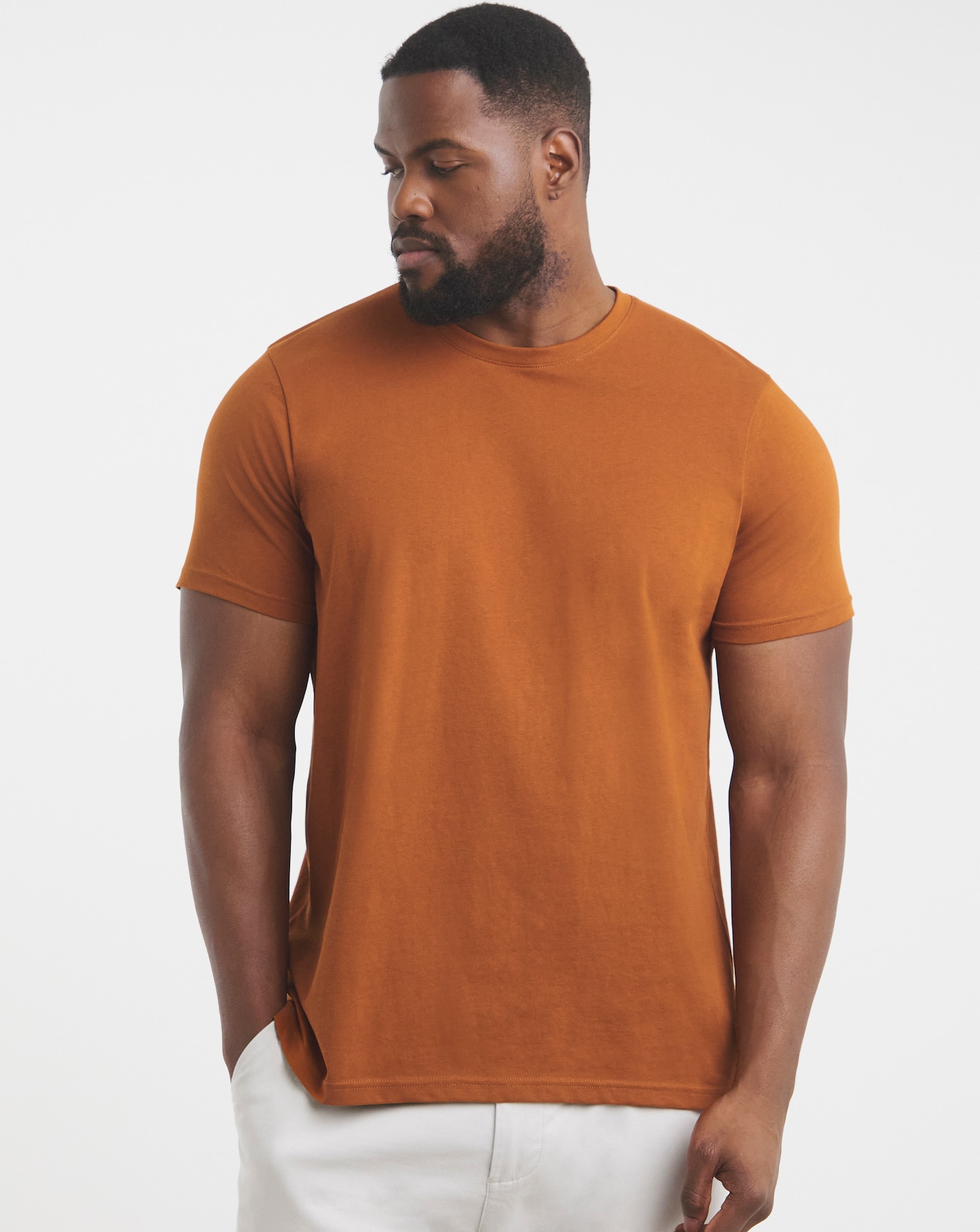 Pure Cotton Crew Neck T-shirt Long