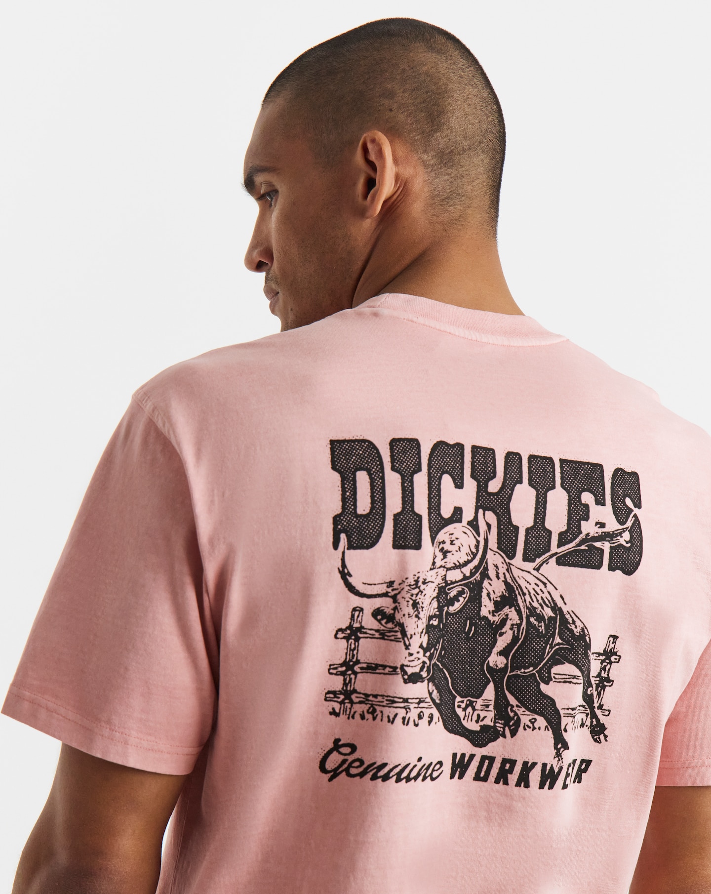 Dickies Buchtell Back Graphic T-Shirt