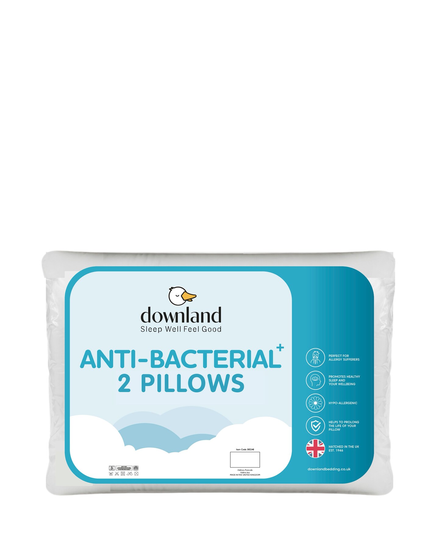 Anti-Bacterial Pack of 2 Pillows