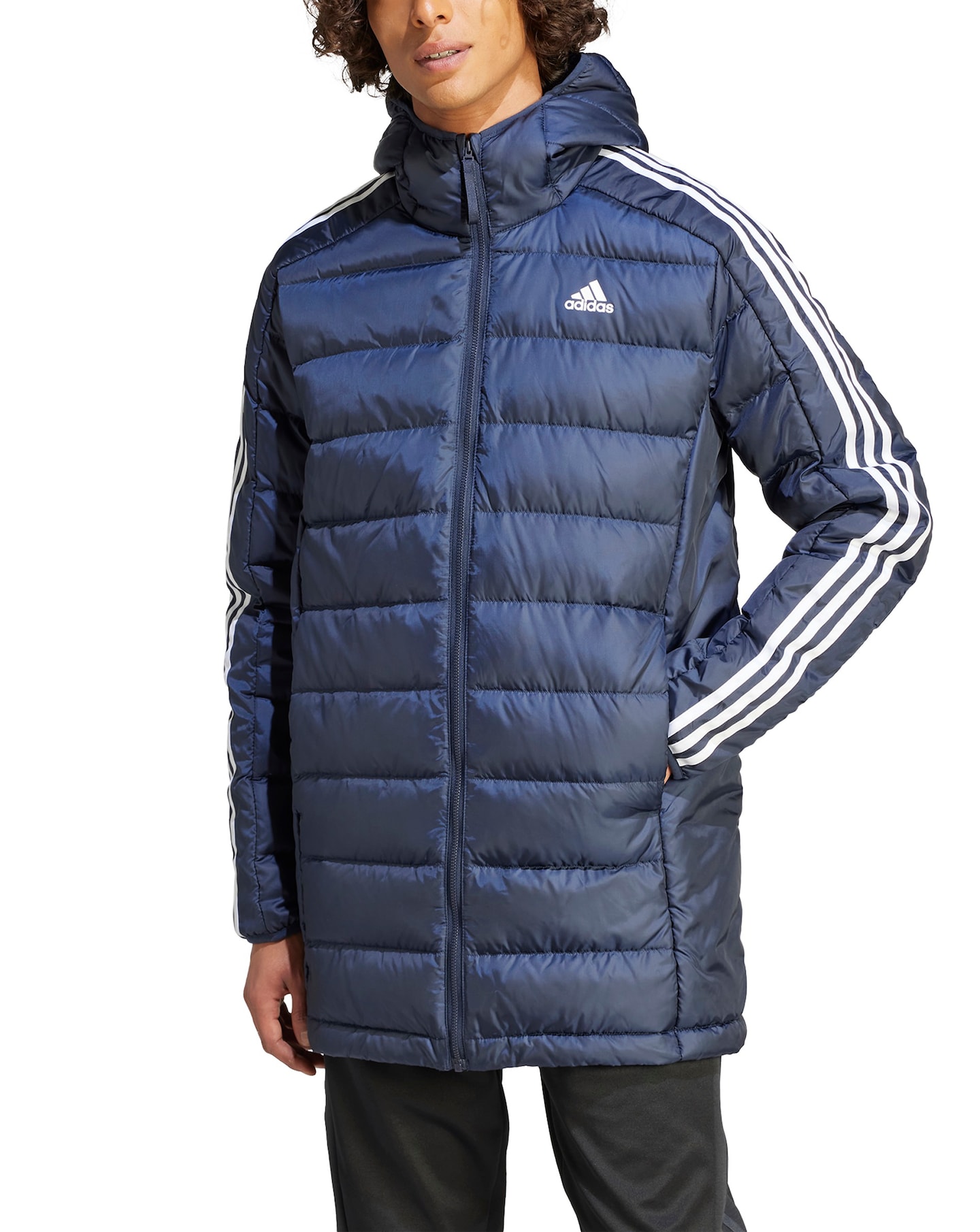 adidas 3 Stripes Padded Jacket Jacamo