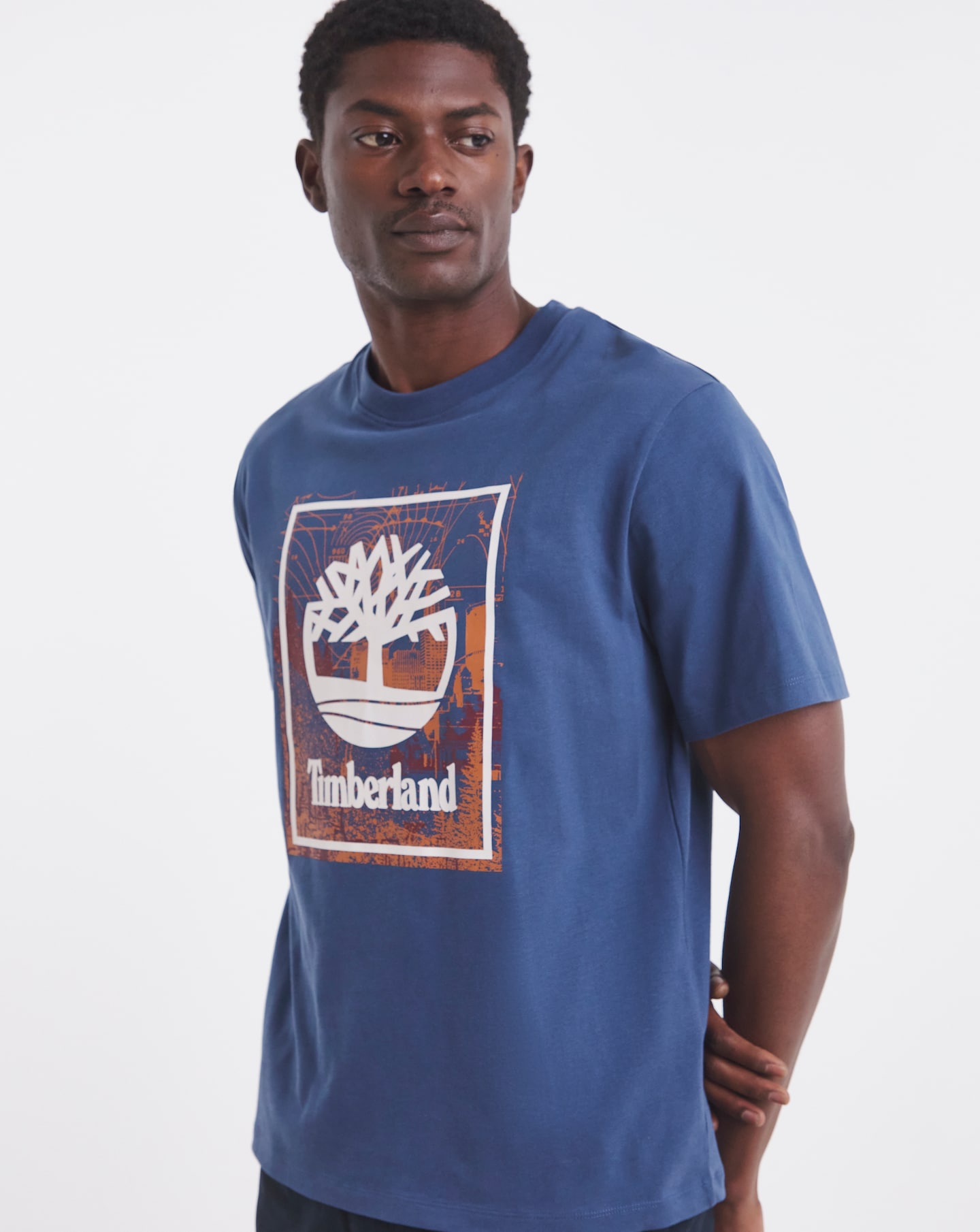 Timberland Logo Graphic T-Shirt - Blue