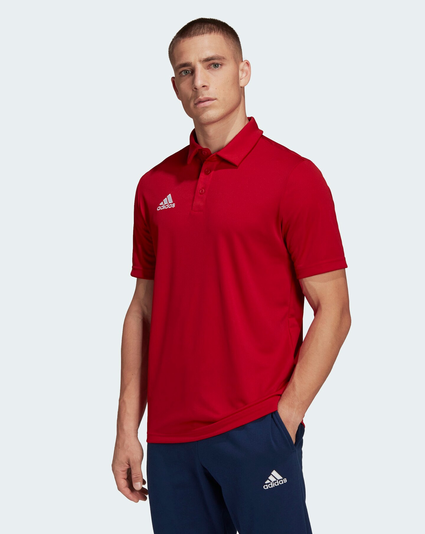 adidas ENT22 Polo Shirt Jacamo
