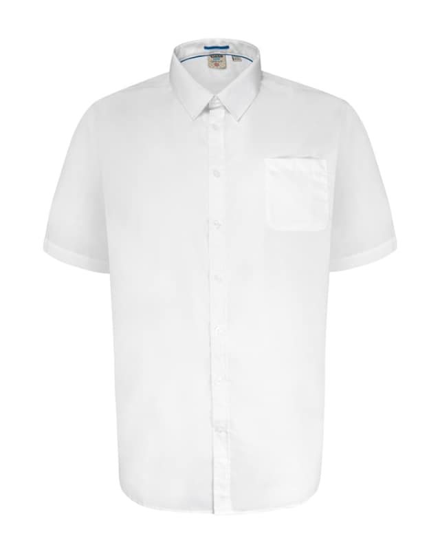 D555 Big & Tall Delmar Short Sleeve Easy Iron Classic Shirt with Pocket - White