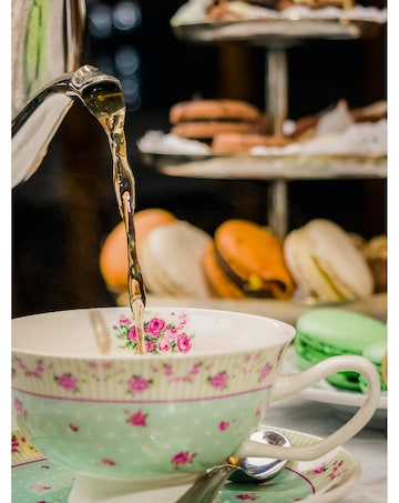 Activity Superstore Dog Friendly Afternoon Tea for Two