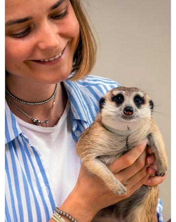 Activity Superstore Meet the Meerkats for Two