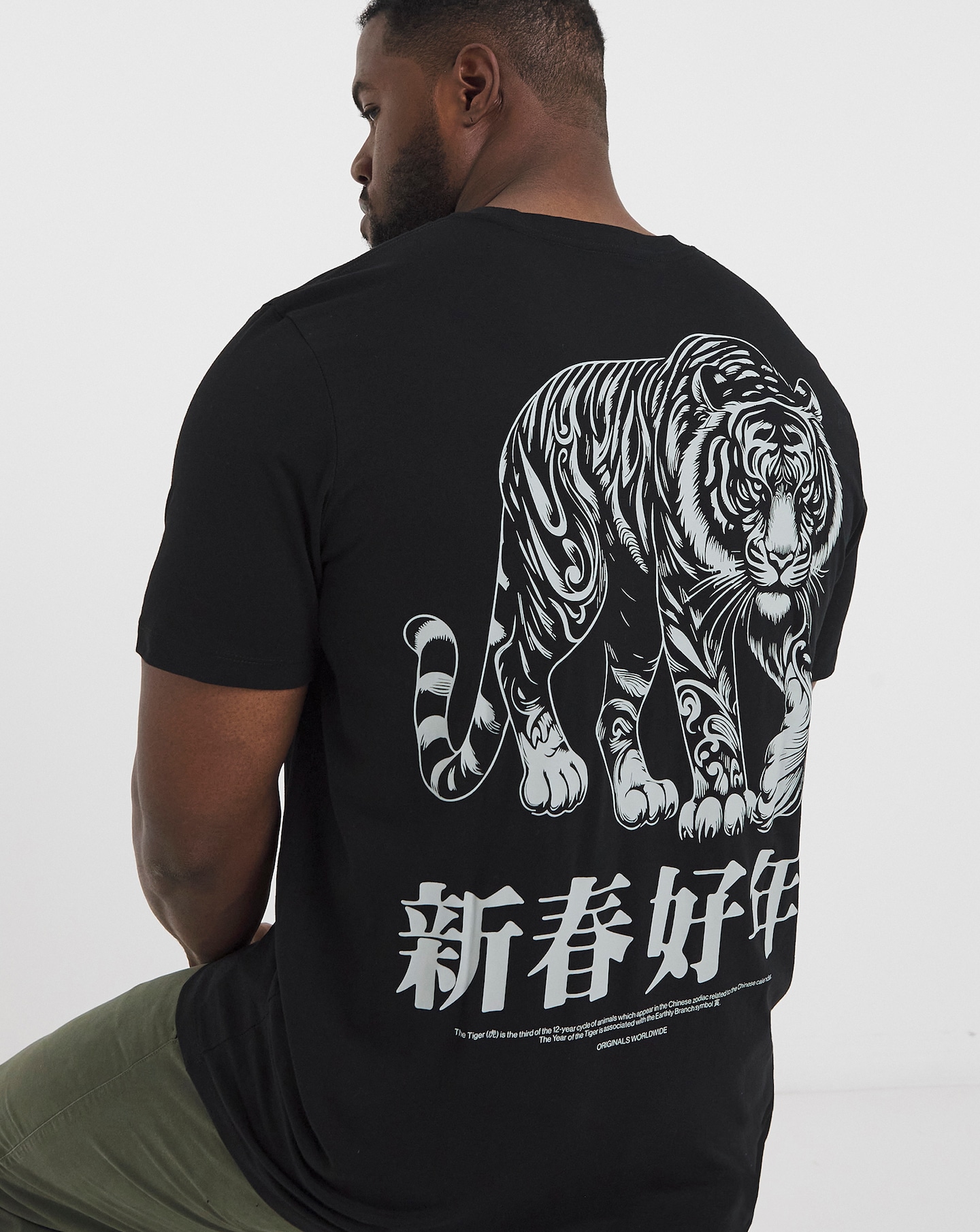 Jack & Jones Tiger Back Graphic T-Shirt
