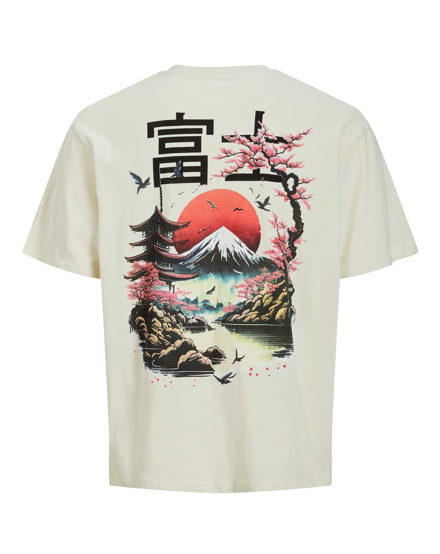 Jack Jones Fuji T-Shirt - White