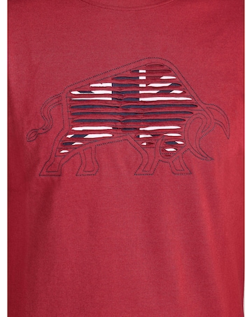 Raging Bull Slash Bull T-Shirt Claret