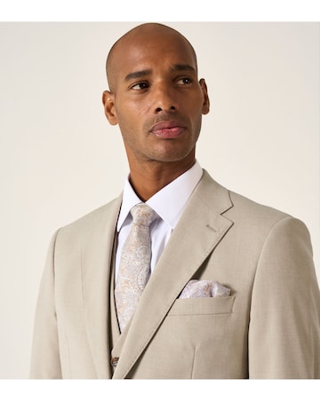 Skopes Caspian Suit Jacket Stone