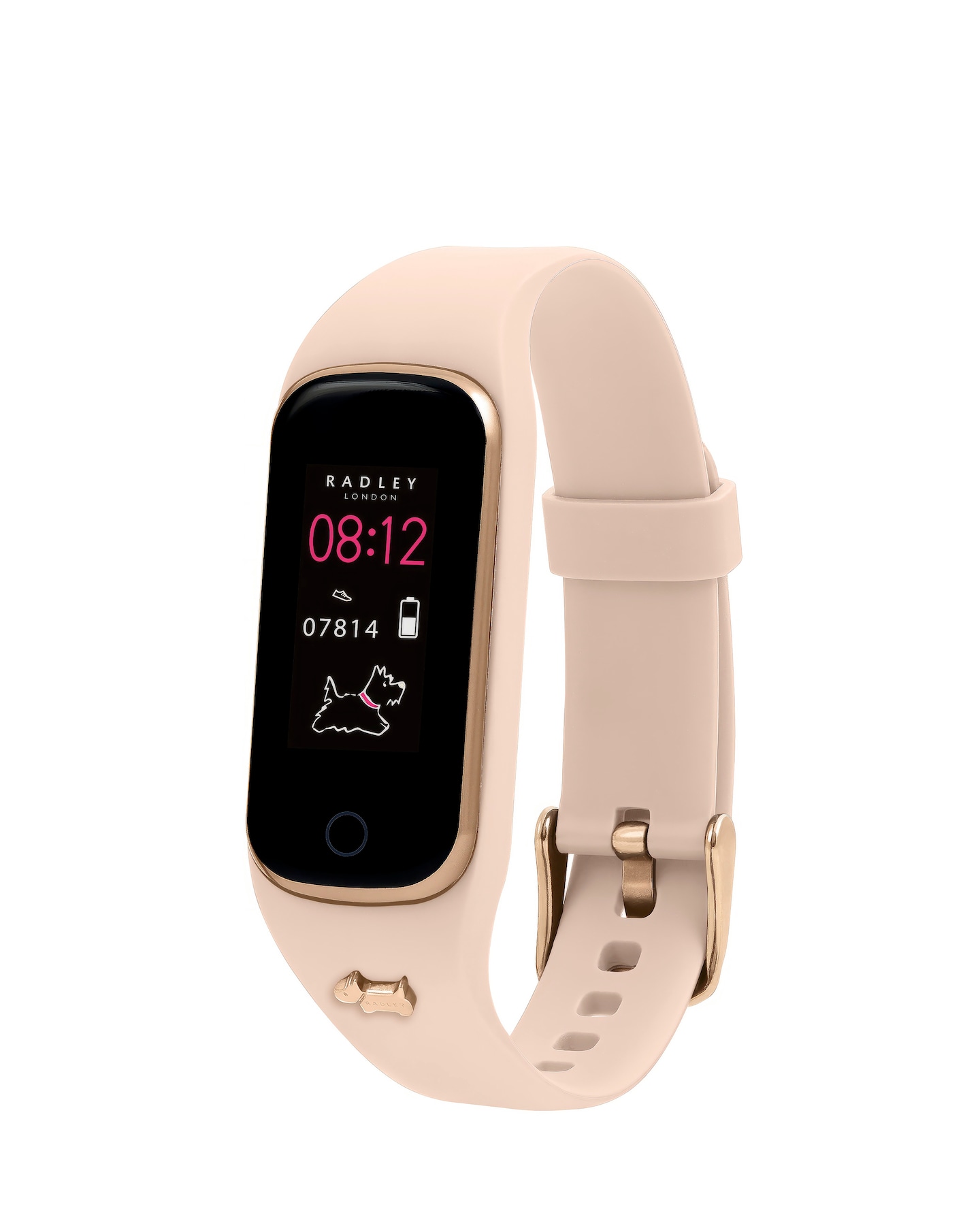 New In - Radley Ladies Series 8 Cobweb