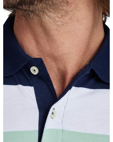 Raging Bull Irregular Stripe Jersey Polo Apple Green