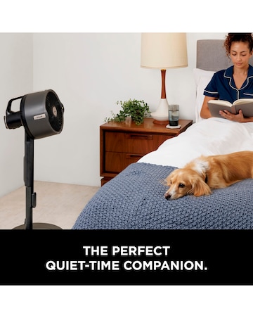 Shark FlexBreeze Pro Mist Indoor & Outdoor Fan- Grey