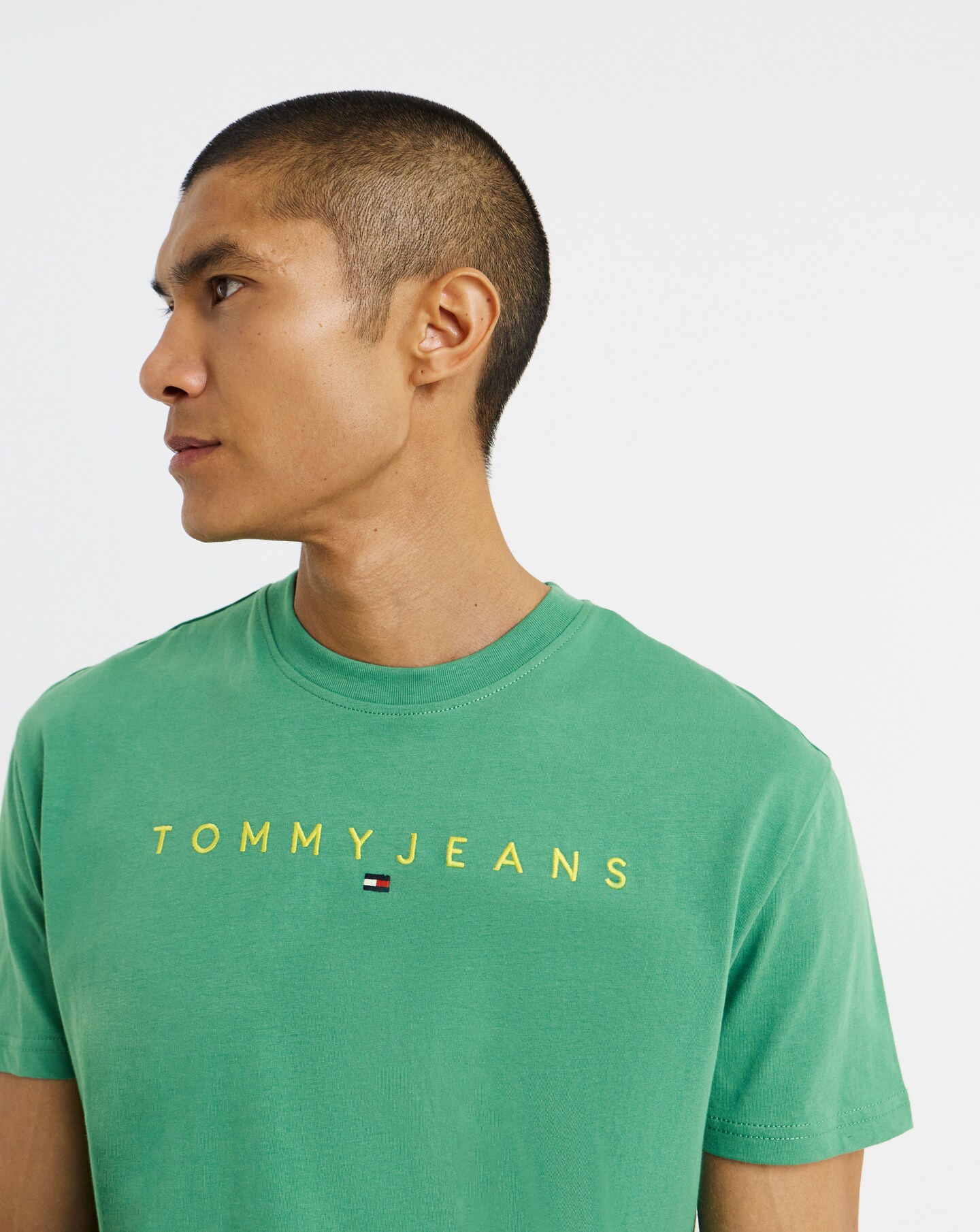 Tommy Jeans Regular Linear Logo T-Shirt