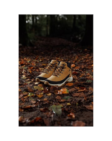 Cotswold Ryeford Hiking Boots