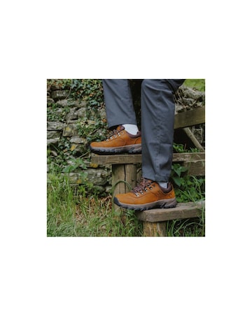 Cotswold Hawling Walking Shoe