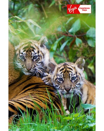 Visit to Chester Zoo for Two Adults E - Voucher
