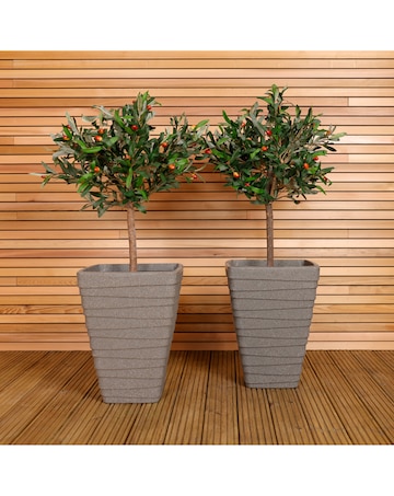 Charles Bentley Tall Square Trojan Granite Planters - Set of 2