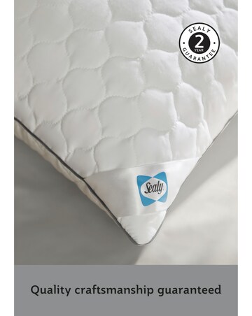 Sealy Deeply Full Pack of 2 Pillows