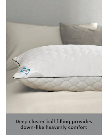 Sealy Deeply Full Pack of 2 Pillows