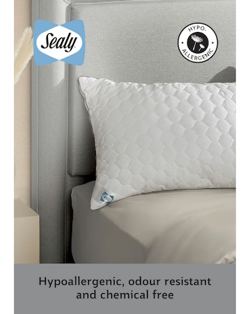 Sealy Deeply Full Pack of 2 Pillows