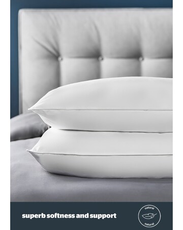 Silentnight 2 Pack Duck Feather & Down Anti-Allergy Pillows