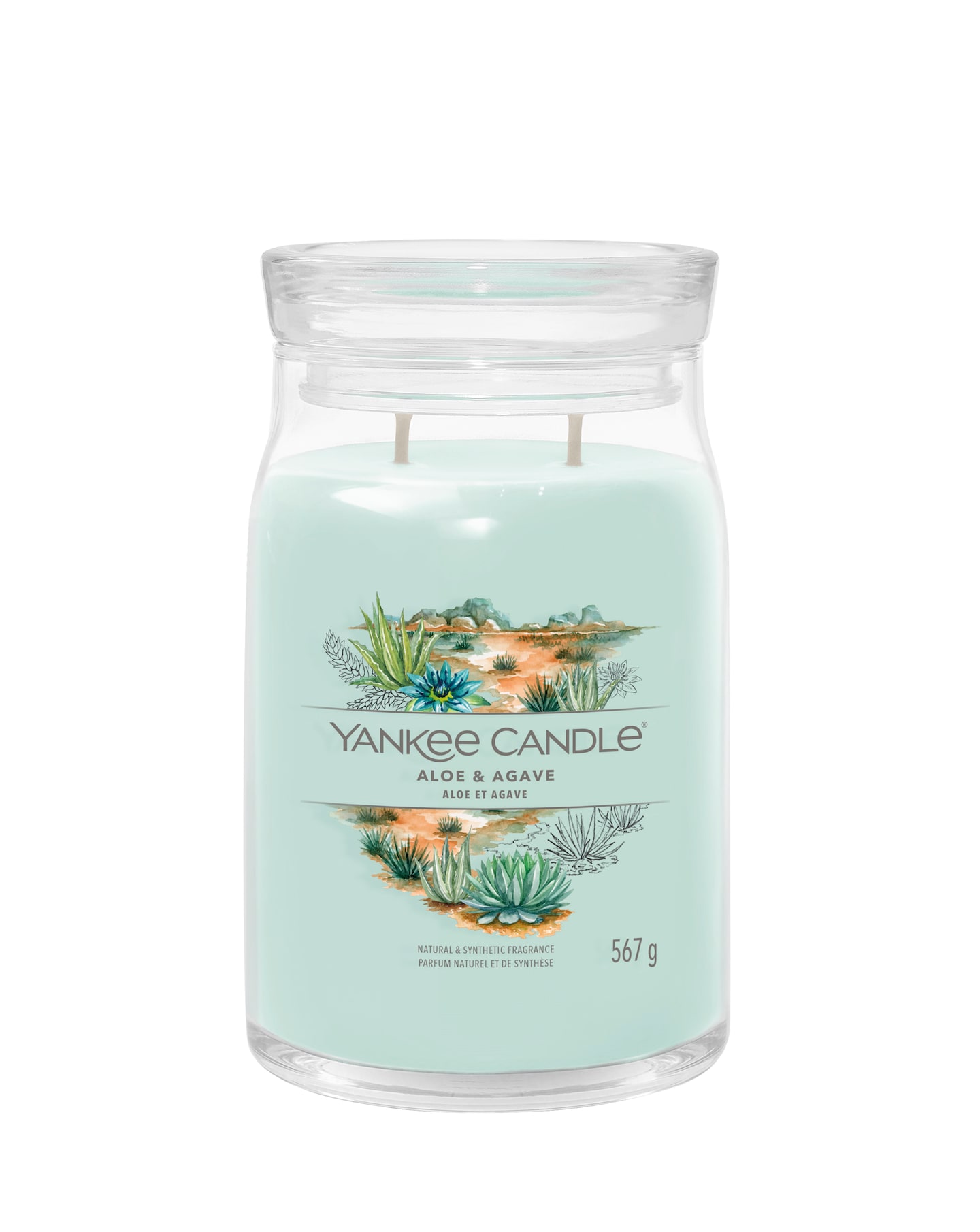 New In - Yankee Candle Large Aloe & Agave